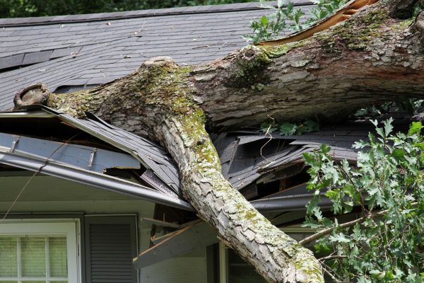 Cost of Storm Remediation in Chapel Hill