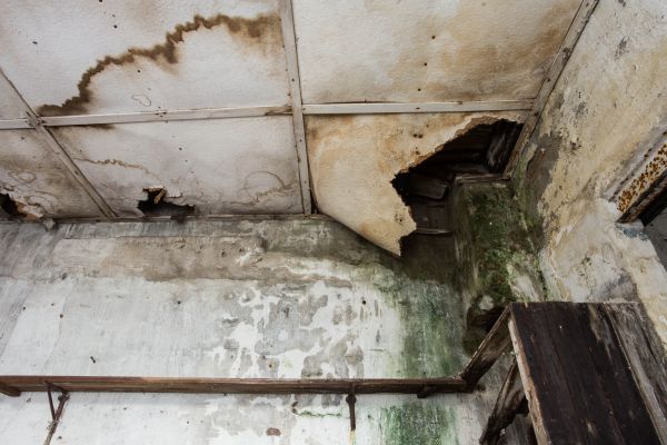 Cost of Water Damage Service in Chapel Hill