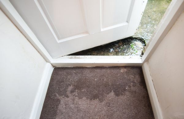Cost of Wet Carpet Restoration in Chapel Hill