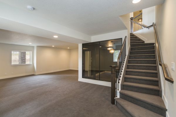 Cost of Basement Restoration Service in Chapel Hill