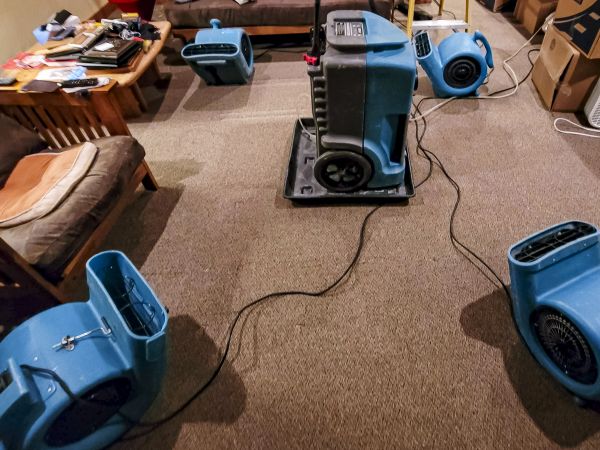 Cost of Flood Damage Recovery in Chapel Hill