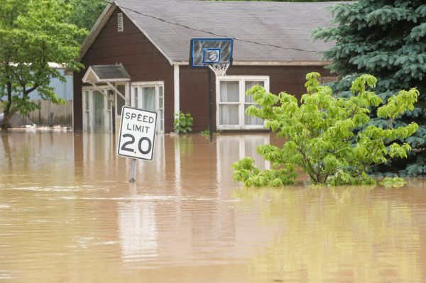 Cost of Storm Restoration Service in Chapel Hill