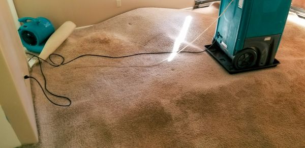 Cost of Flood Damage Cleanup in Chapel Hill