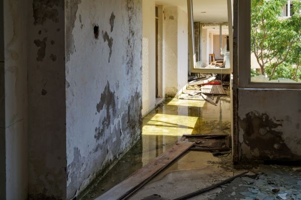 Cost of Water Removal Service in Chapel Hill