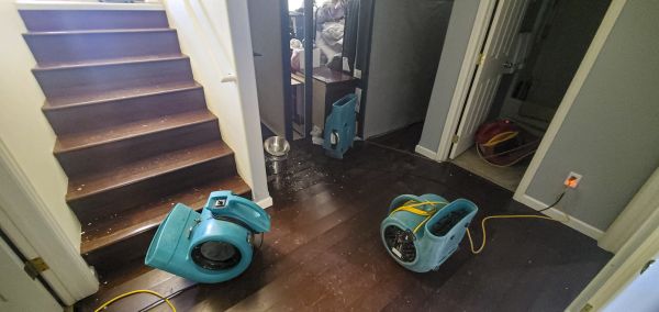 Cost of Water Damage Remediation in Chapel Hill