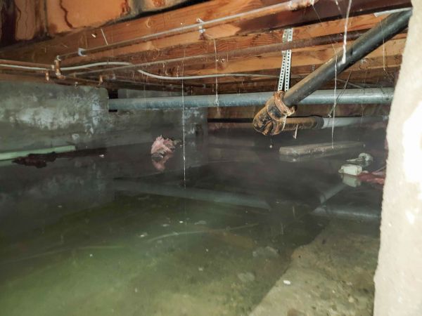Cost of Crawl Space Drying in Chapel Hill