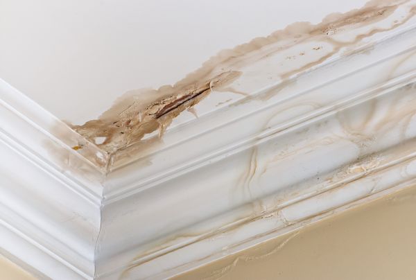 Cost of Water Damage Recovery in Chapel Hill